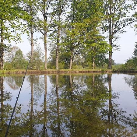 Kojan Lägenhet Jílovice Exteriör bild