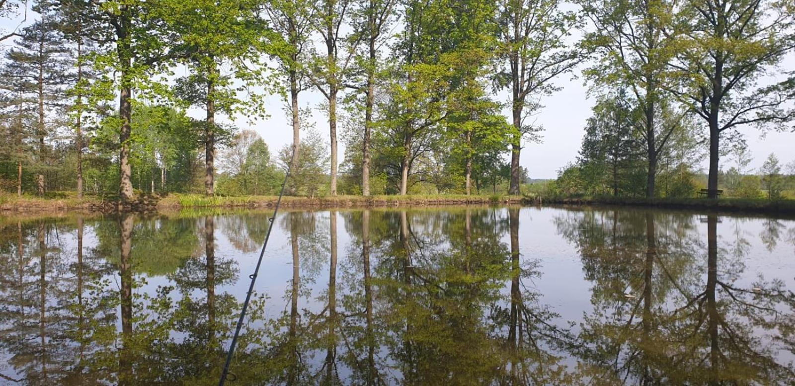 Kojan Lägenhet Jílovice Exteriör bild